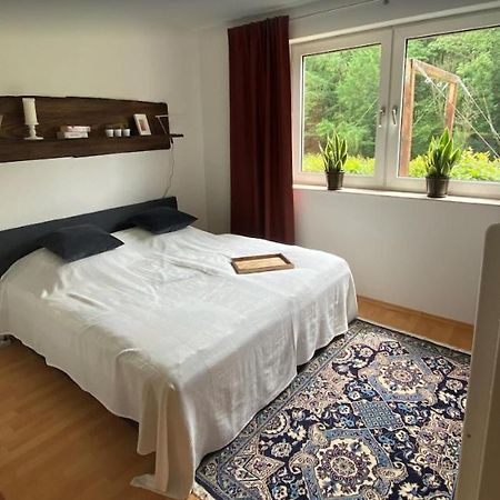 Haus Wiesengrund Винтерберг Екстериор снимка